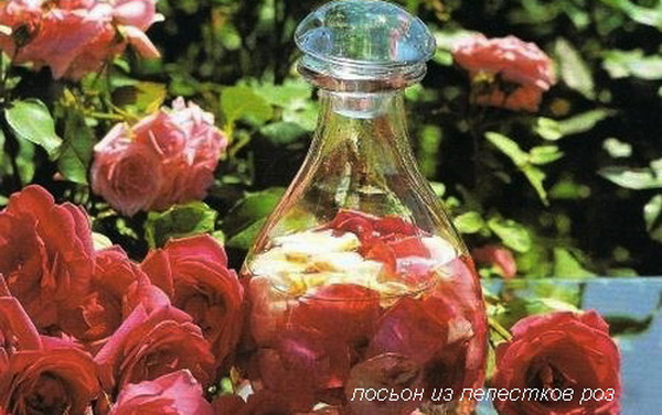 лосьон из лепестков роз