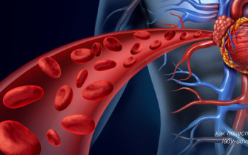 Как почистить кровь без лекарств — эффективно и самостоятельно?