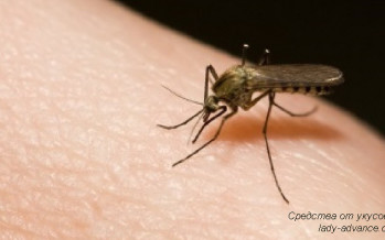 Домашние средства от укусов комаров