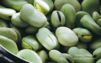 Зеленые бобы — кладезь ценных питательных веществ
